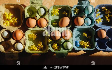 easter eggs in colorful boxes Stock Photo