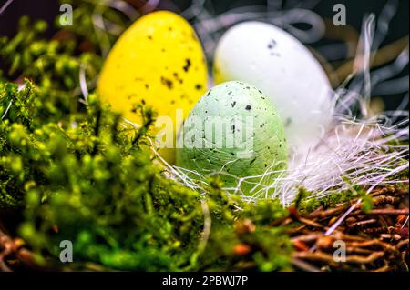 bird  nest with colorful Easter eggs on branches of green trees, easter decoration, selective focus Stock Photo