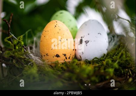 bird  nest with colorful Easter eggs on branches of green trees, easter decoration, selective focus Stock Photo