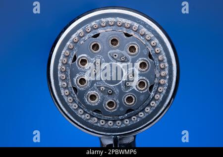 Silver metal shower head with hard water damage or lime scale calcium deposits. Close up studio macro shot, isolated on blue background. Stock Photo