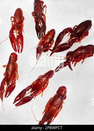 fresh red crayfish on ice Stock Photo