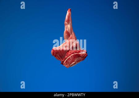 Uncooked raw rabbit or hare legs. Close up top view studio shot, no people. Stock Photo
