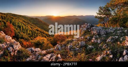 Autumn sunrise in the Carpathian mountains. foggy morning with sun Stock Photo