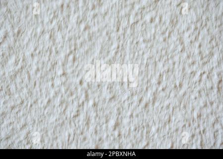 White rough-textured stucco interior wall. Close up shot, no people Stock Photo