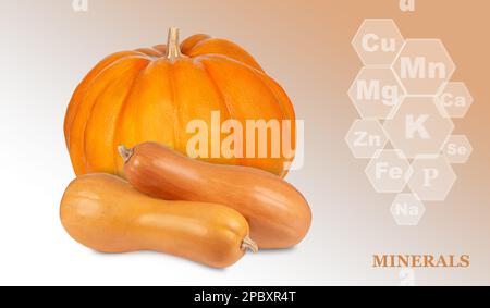 three different kind of pumpkin isolated on a colored gradient background with markings of minerals found in pumpkins Stock Photo