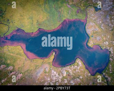 Aerial view of a serene pond surrounded by lush green meadows, dense ...