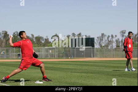 Daisuke Matsuzaka by Ron Antonelli