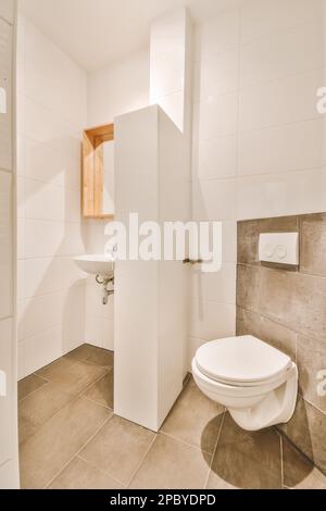 Interior design of light bathroom in white and gray color with toilet and flush buttons with sink and mirror decorated with ceramic tile floor and wal Stock Photo