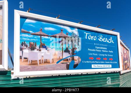 Advertising hoardings, Avenue Ntra. Sra. del Carmen, Corralejo, Fuerteventura, Canary Islands, Kingdom of Spain Stock Photo