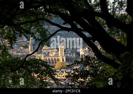 Bath Abbey and city landmarks viewed through the trees in Alexandra Park, Beechen Cliff, Bath, England, UK Stock Photo