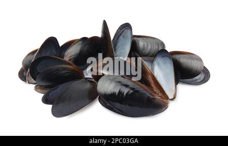 Open empty mussel shells on white background Stock Photo