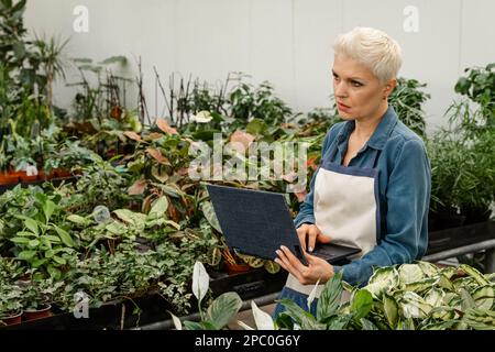 Plant care. Gardening is more than hobby. Planting home plants . Florist holding laptop. Woman reading about her flowers. Botanist inspecting the pott Stock Photo