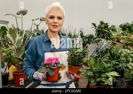 Portrait of cheerful female florist in apron holding in hands pot with green plant. Lovely housewife with flower in pot and gardening set. Woman flori Stock Photo