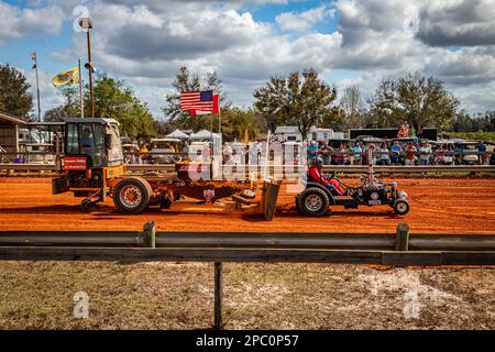 Fort Meade, FL - February 26, 2022: Wide angle side view of a Modified Mini Tractor Puller at a local tractor pulling competition. Stock Photo