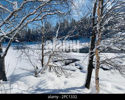 Winter landscape of north Sweden Stock Photo
