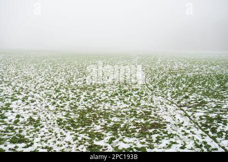 Melting snow and green grass on an agricultural field in Europe. Wide angle view, no people Stock Photo