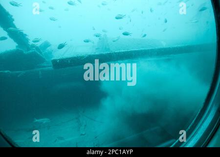 shoal of small fish sheltering around boat wreck as an artificial reef as seen from aboard the submarine safaris submarine out of puerto calero Lanzar Stock Photo