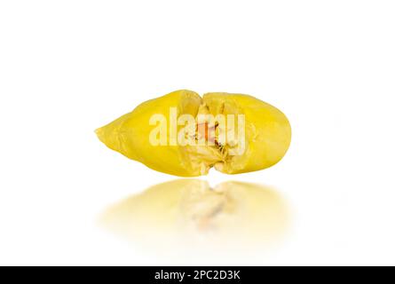 Ripe durian seed with yellow flesh isolated on white background, isolated object with clipping path Stock Photo