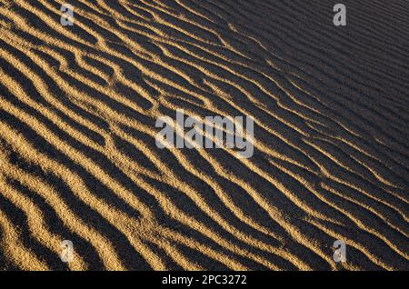 Wind-formed sand ripples show sunlit crests and dark troughs in wavy lines at Mesquite Flat Sand Dunes, Death Valley National Park, California. Stock Photo