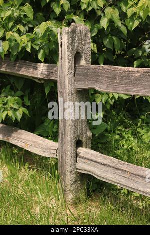 Traditional wooden fence surrounding the sunny summer meadow in a black ...