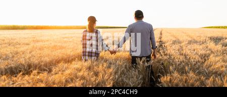 A couple of farmers in plaid shirts and caps holding hands on agricultural field of wheat at sunset Stock Photo