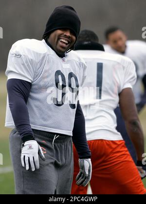 Chicago Bears Defensive Tackle Tank Johnson Editorial Stock Photo - Stock  Image