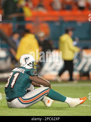 Pittsburgh Steelers Strong Safety Troy Polamalu (43) tackles Miami Dolphins  Tight End Randy McMichael (81) during a second quarter downpour on  September 26, 2004 at Pro Player Stadium in Miami, Fl. The