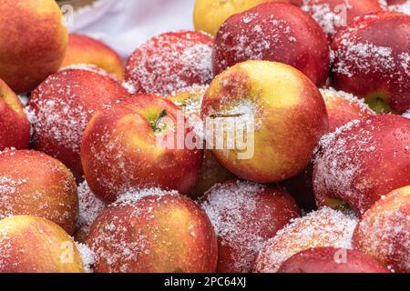 Fresh red apples covered by the snow in a farmer agricultural open air market, seasonal healthy food. Concept of biological, bio products, bio ecology Stock Photo