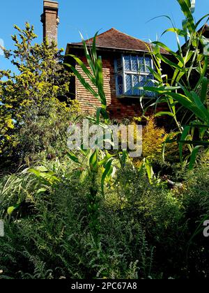 An old farmhouse with a mixed border in the foreground. Stock Photo