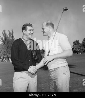 Fullback Alex Webster of the New York Football Giants poses at the team's  training camp in Fairfield, Conn. Sept 3, 1963. (AP Photo/Harry Harris  Stock Photo - Alamy