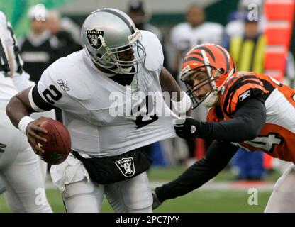 Cincinnati Bengals safety Kevin Kaesviharn (34) sacks Oakland Raiders  quarterback Aaron Brooks (2) at Paul Brown Stadium in Cincinnati on  December 10, 2006. The Bengals defeated the Raiders 27-10. (UPI Photo/Mark  Cowan Stock Photo - Alamy