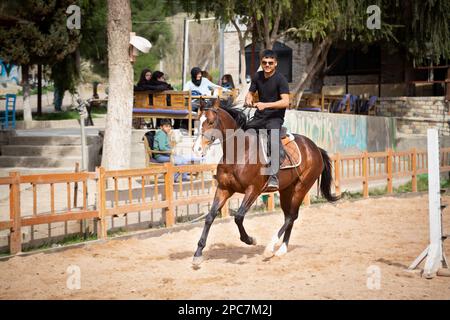 Dressage rider in manege on horseback. Stock Photo