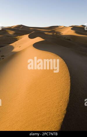 View of sand dunes in desert habitat, Khongoryn Els sand dunes, South Gobi Desert, Mongolia Stock Photo