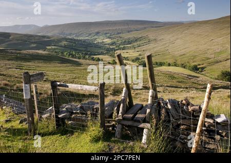 View of upland farmland and fells, with stile over drystone wall, looking down Dentdale from Whernside Pastures, Cumbria, England, United Kingdom Stock Photo