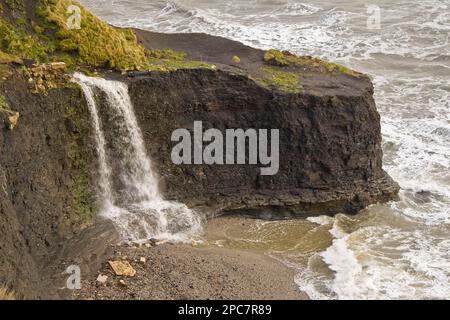 Waterfall flowing over hard shale to beach on rough sea coast, freshwater steps, Dorset, England, United Kingdom Stock Photo