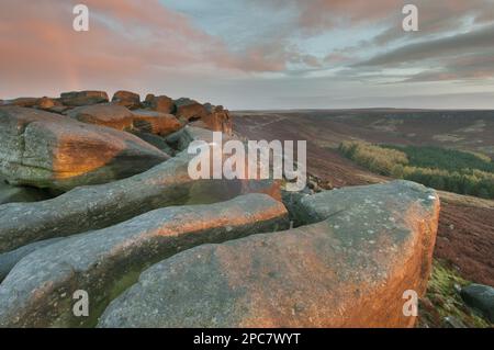 View of rocks and moorland habitat at sunrise, looking from Higger Tor towards Burbage Moor, Peak District N. P. Derbyshire, England, United Kingdom, Stock Photo