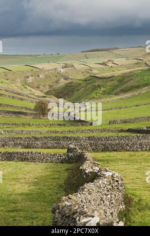 View of dry stone walls and pastures, Litton, Peak District N. P. Derbyshire, England, United Kingdom, Europe Stock Photo