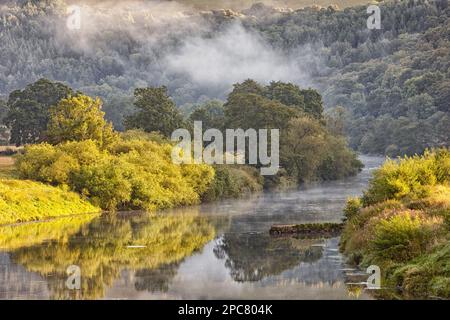 View of river with early morning mist clearing at dawn, Bigsweir, River Wye, Wye Valley, on Gloucestershire border, England, Monmouthshire, Wales, Uni Stock Photo