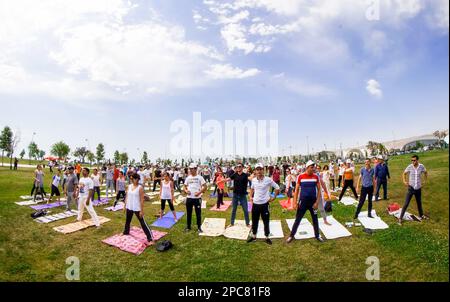 Baku, Azerbaijan, may 20, 2019: men and women practice yoga in a Park on a green glade Stock Photo