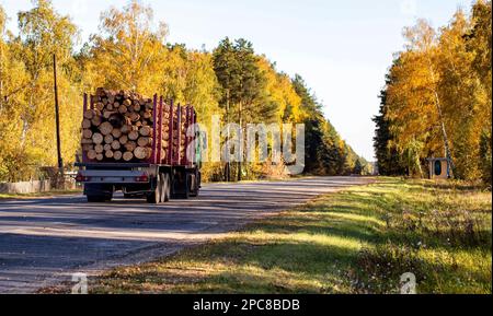 Transportation in trucks with special semi-trailers of forest logs. Transportation of timber and firewood on country roads, industry. Copy space for t Stock Photo