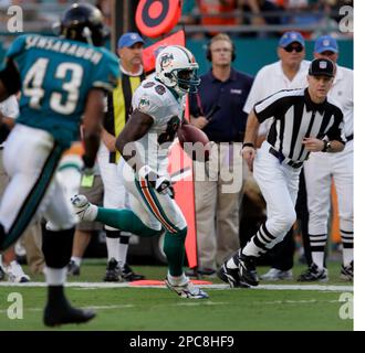 Miami Dolphins wide receiver Marty Booker celebrates his 5-yard touchdown  reception during the second quarter against the Chicago Bears at Soldier  Field in Chicago on November 5, 2006. (UPI Photo/Brian Kersey Stock