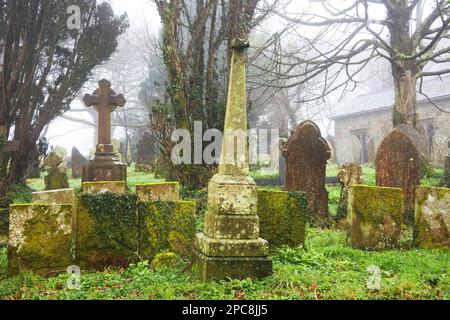 The graveyard at St. Dennis parish church, Cornwall, UK - John Gollop Stock Photo