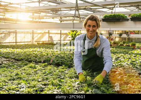 woman as a florist taking care of flowers and plants in the garden center Stock Photo