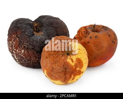 three different rotten apples with mold isolated on white background Stock Photo