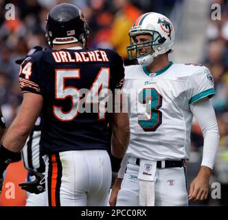 Chicago Bears' Brian Urlacher (54) during the second half of the NFC  Championship NFL football game Sunday, Jan. 23, 2011, in Chicago. (AP  Photo/Jim Prisching Stock Photo - Alamy