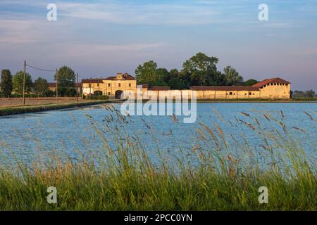 Cascina tra le risaie del Novarese Stock Photo - Alamy