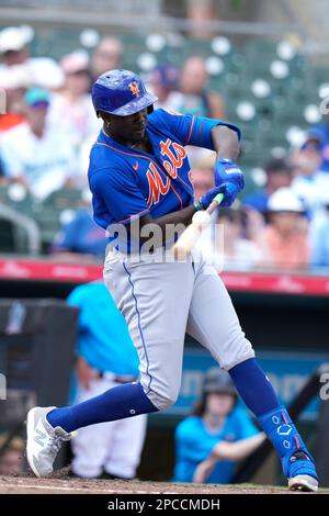 This is a 2023 photo of Ronny Mauricio of the New York Mets