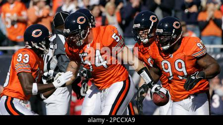 Chicago Bears Defensive Tackle Tank Johnson Editorial Stock Photo - Stock  Image