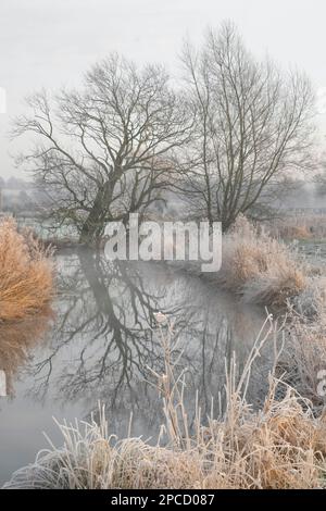 Frosty morning, Costa Beck, Pickering, North Yorkshire Stock Photo
