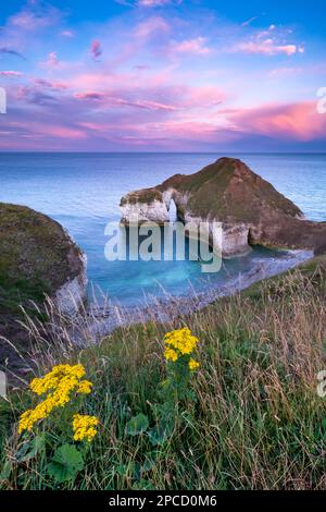 High Stacks Arch,, also known as the drinking dinosaur at Flamborough Head Stock Photo
